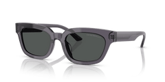 0EA4233U - Emporio Armani - (Transparent Grey) Dark Grey - 53 - 20 - 140 MM - Ardor Eyewear 8056262234174