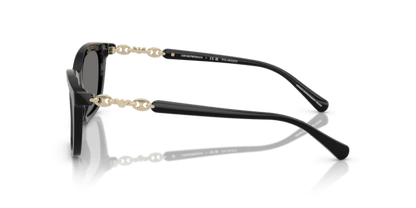 Shiny Black - 0EA4238 8056262302972