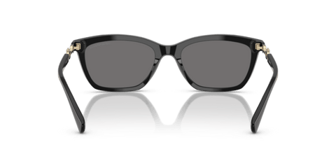 Shiny Black - 0EA4238 8056262302972