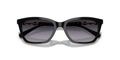 Shiny Black - 0EA4238 8056262242797