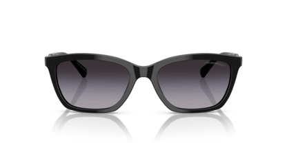 Shiny Black - 0EA4238 8056262242797