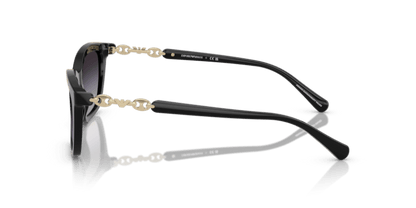 Shiny Black - 0EA4238 8056262242797