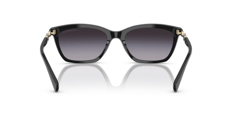 Shiny Black - 0EA4238 8056262242797