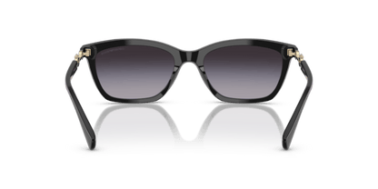 Shiny Black - 0EA4238 8056262242797