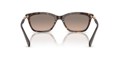 Shiny Havana - 0EA4238 8056262242803