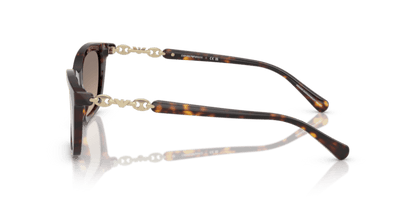 Shiny Havana - 0EA4238 8056262242803