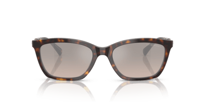 Shiny Havana - 0EA4238 8056262242803