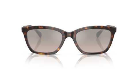 Shiny Havana - 0EA4238 8056262242803