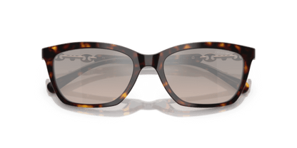 Shiny Havana - 0EA4238 8056262242803