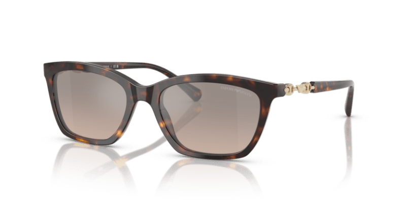 Shiny Havana - 0EA4238 8056262242803