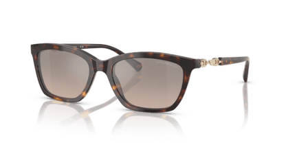 Shiny Havana - 0EA4238 8056262242803