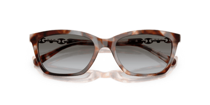 Shiny Havana Grey - 0EA4238 8056262242834