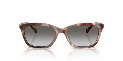 Shiny Havana Grey - 0EA4238 8056262242834