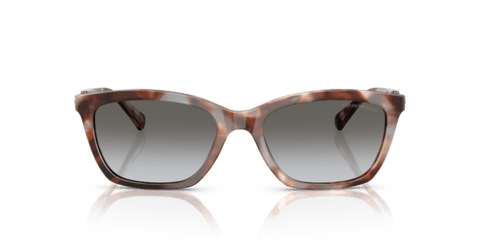 Shiny Havana Grey - 0EA4238 8056262242834