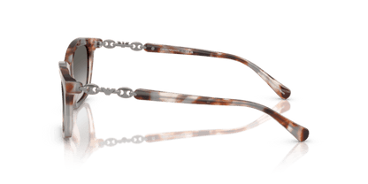 Shiny Havana Grey - 0EA4238 8056262242834