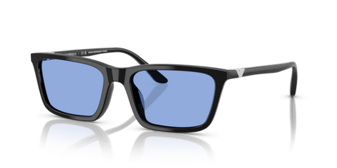 Shiny Black - 0EA4239U 8056262243145