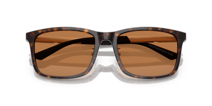 Shiny Havana - 0EA4241D 8056262297186