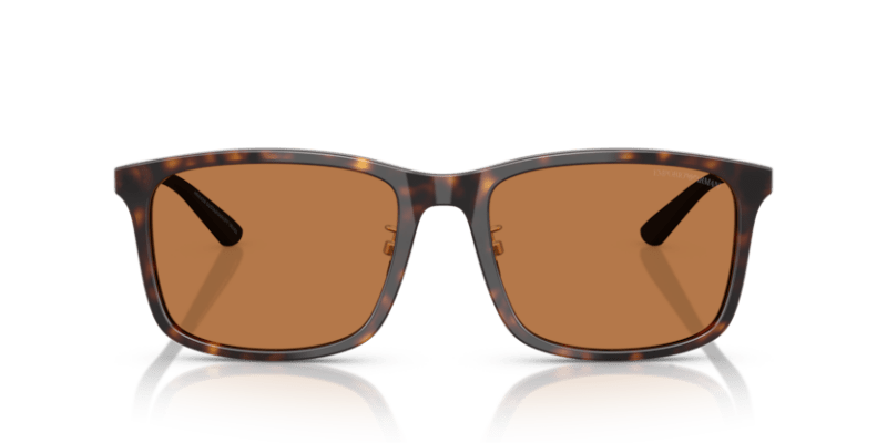 Shiny Havana - 0EA4241D 8056262297186