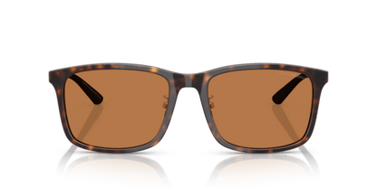 Shiny Havana - 0EA4241D 8056262297186