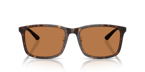 Shiny Havana - 0EA4241D 8056262297186