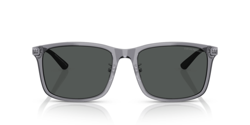 Shiny Transparent Grey - 0EA4241D 8056262345146