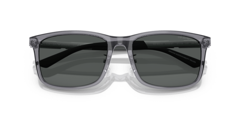 Shiny Transparent Grey - 0EA4241D 8056262345146