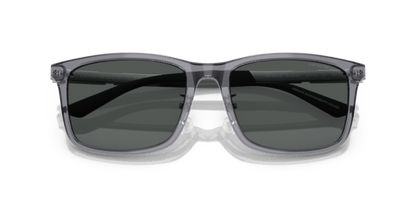 Shiny Transparent Grey - 0EA4241D 8056262345146