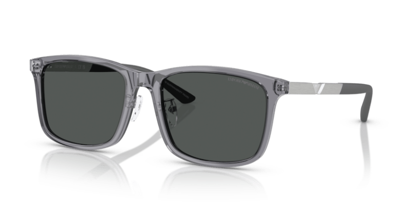 Shiny Transparent Grey - 0EA4241D 8056262345146