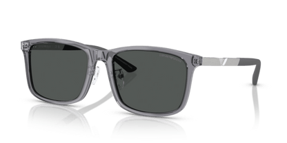 Shiny Transparent Grey - 0EA4241D 8056262345146