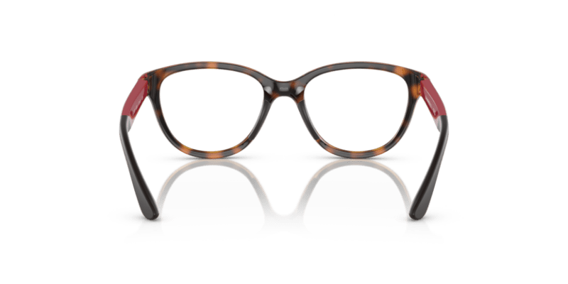 Shiny Havana - 0EK3002 8056597822244