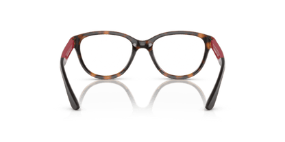 Shiny Havana - 0EK3002 8056597822244