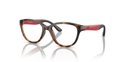 Shiny Havana - 0EK3002 8056597822244