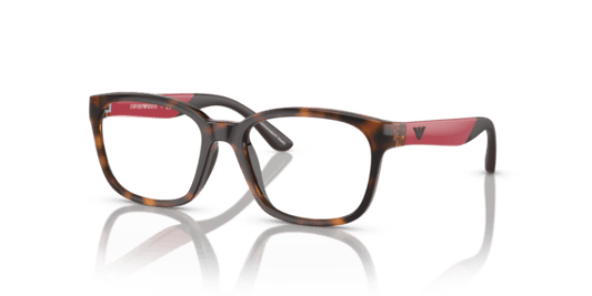 Shiny Havana - 0EK3003 8056597822145