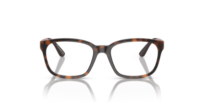 Shiny Havana - 0EK3003 8056597822145