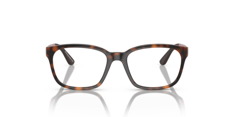 Shiny Havana - 0EK3003 8056597822145