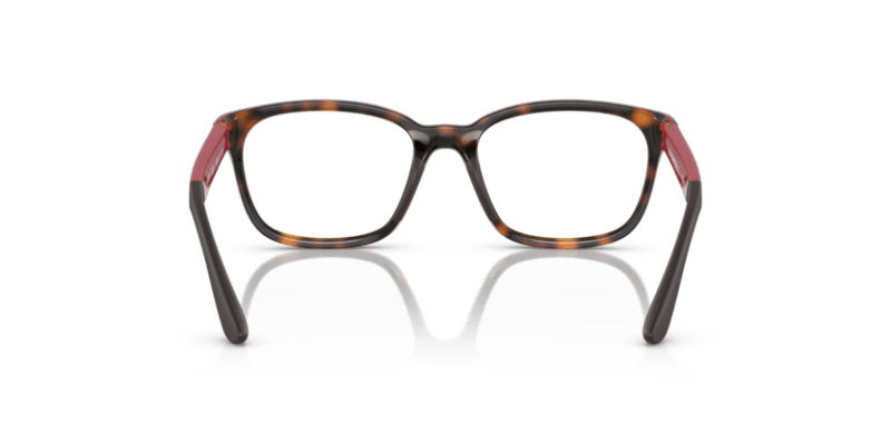 Shiny Havana - 0EK3003 8056597822145