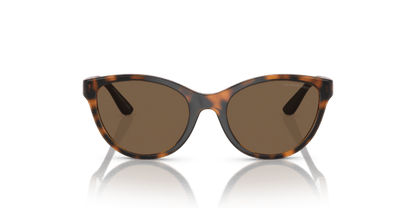 Shiny Havana - 0EK4003 8056597844093