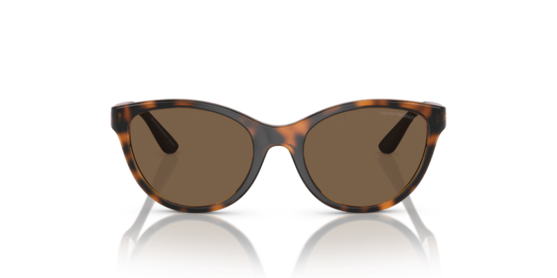 Shiny Havana - 0EK4003 8056597844093