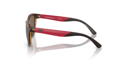 Shiny Havana - 0EK4003 8056597844093