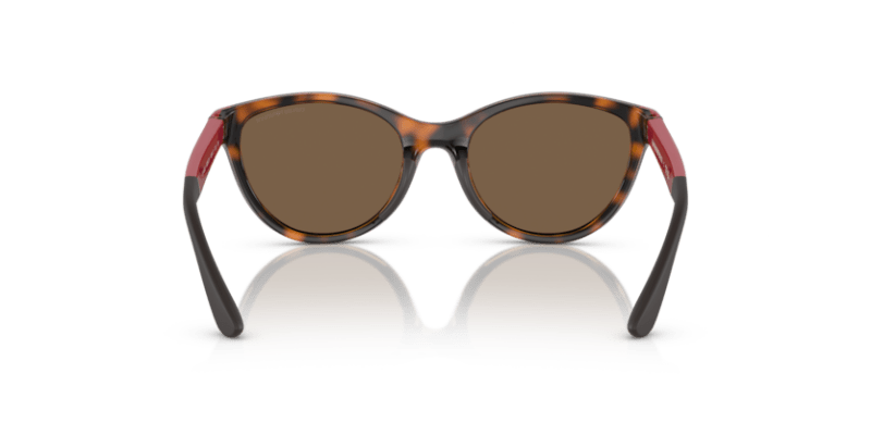 Shiny Havana - 0EK4003 8056597844093