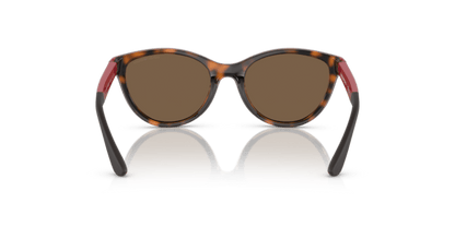 Shiny Havana - 0EK4003 8056597844093