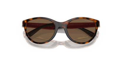 Shiny Havana - 0EK4003 8056597844093