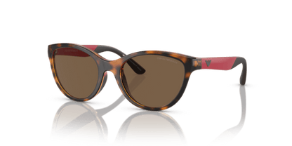 Shiny Havana - 0EK4003 8056597844093