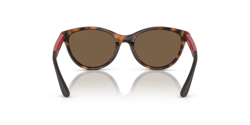 0EK4003 - Emporio Armani Kids - (Shiny Havana) Dark Brown - 48 - 17 - 125 MM - Ardor Eyewear 8056597844093