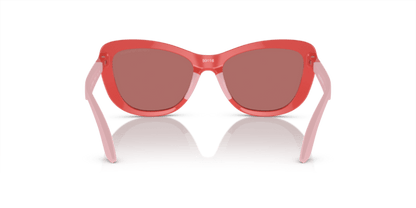 Shiny Coral - 0EK4004 8056262073384