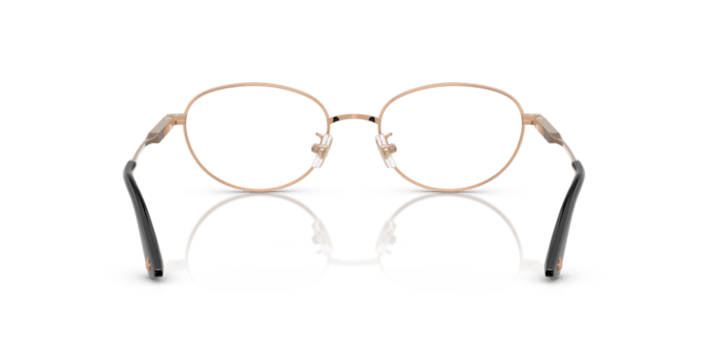 Rose Gold/Black - 0JC2009D 8056262239261