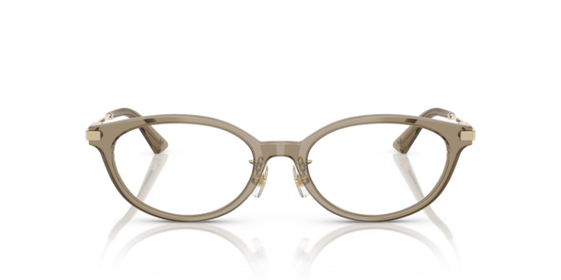 Transparent Brown - 0JC3029D 8056262239292
