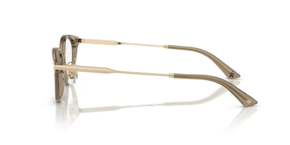 Transparent Brown - 0JC3029D 8056262239292