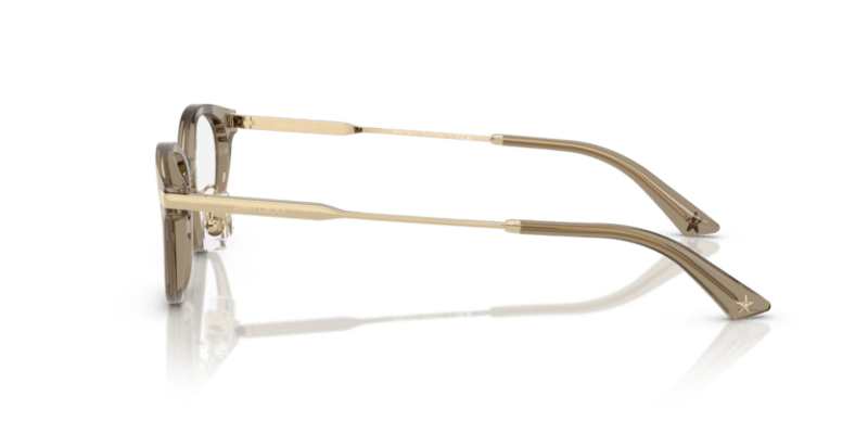 Transparent Brown - 0JC3029D 8056262239292