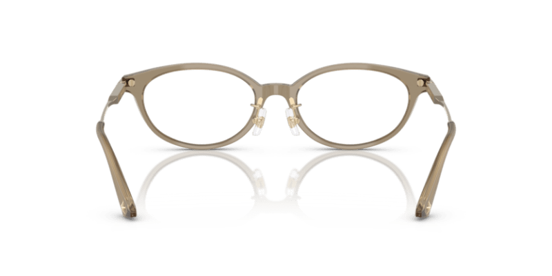 Transparent Brown - 0JC3029D 8056262239292